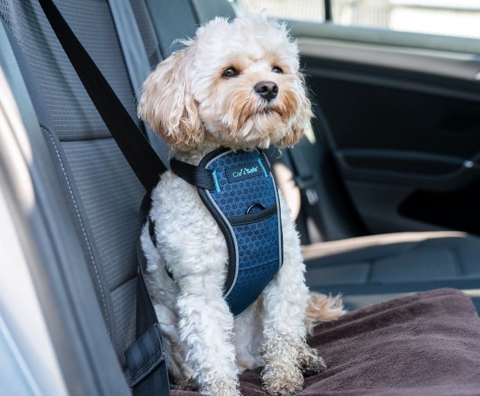 Shark Tank Dog Car Safety Harness HOT Shark Tank Pet Car Belt Dog