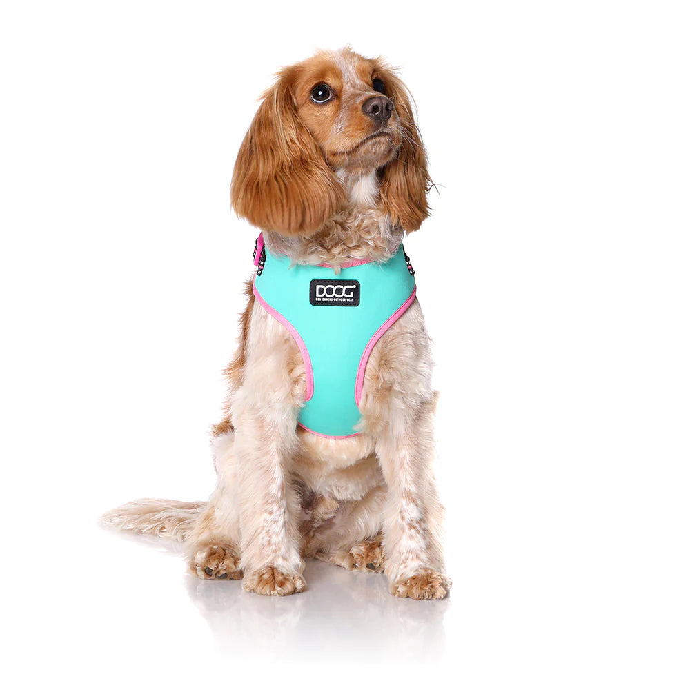 DOOG Neoflex Dog Harness RTT