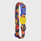 Zee Dog Collar Samba