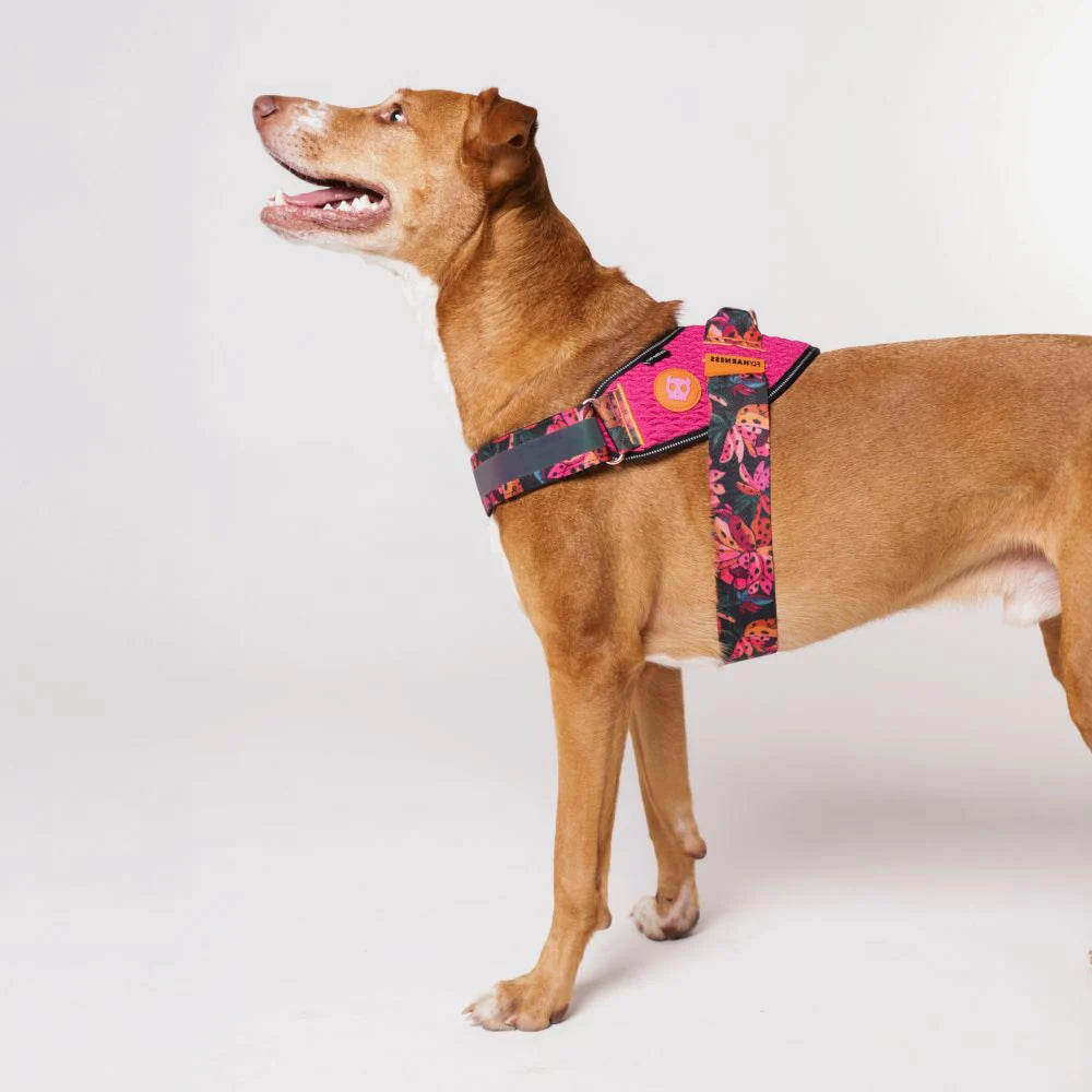 Fly Harness - Zee Dog Selva
