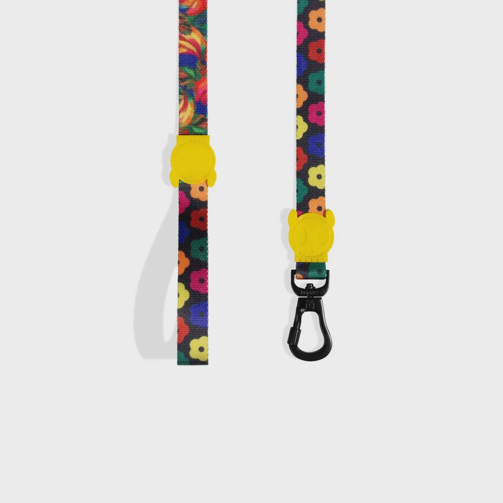 Zee Dog Samba Lead