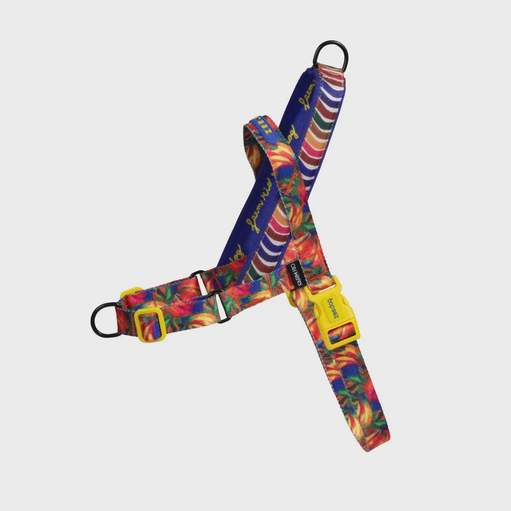 Zee.Dog Softer Walk Harness Samba