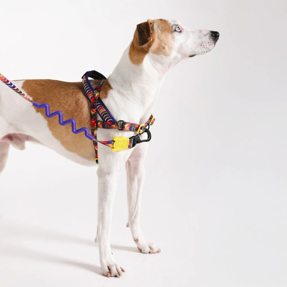 Zee.Dog Softer Walk Harness Samba