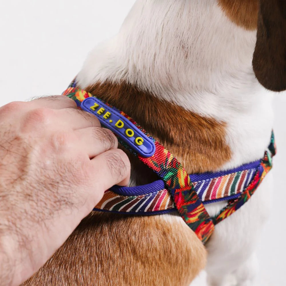 Zee.Dog Softer Walk Harness Samba