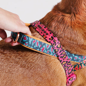 Zee.Dog Softer Walk Harness Selva