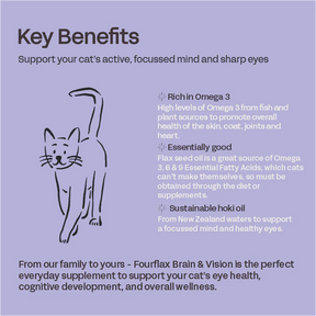 Fourflax Feline Brain & Vision