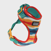 Doog Neoflex Dog Harness Scout