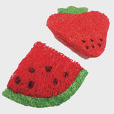 Loofah Strawberry and Watermelon Slice