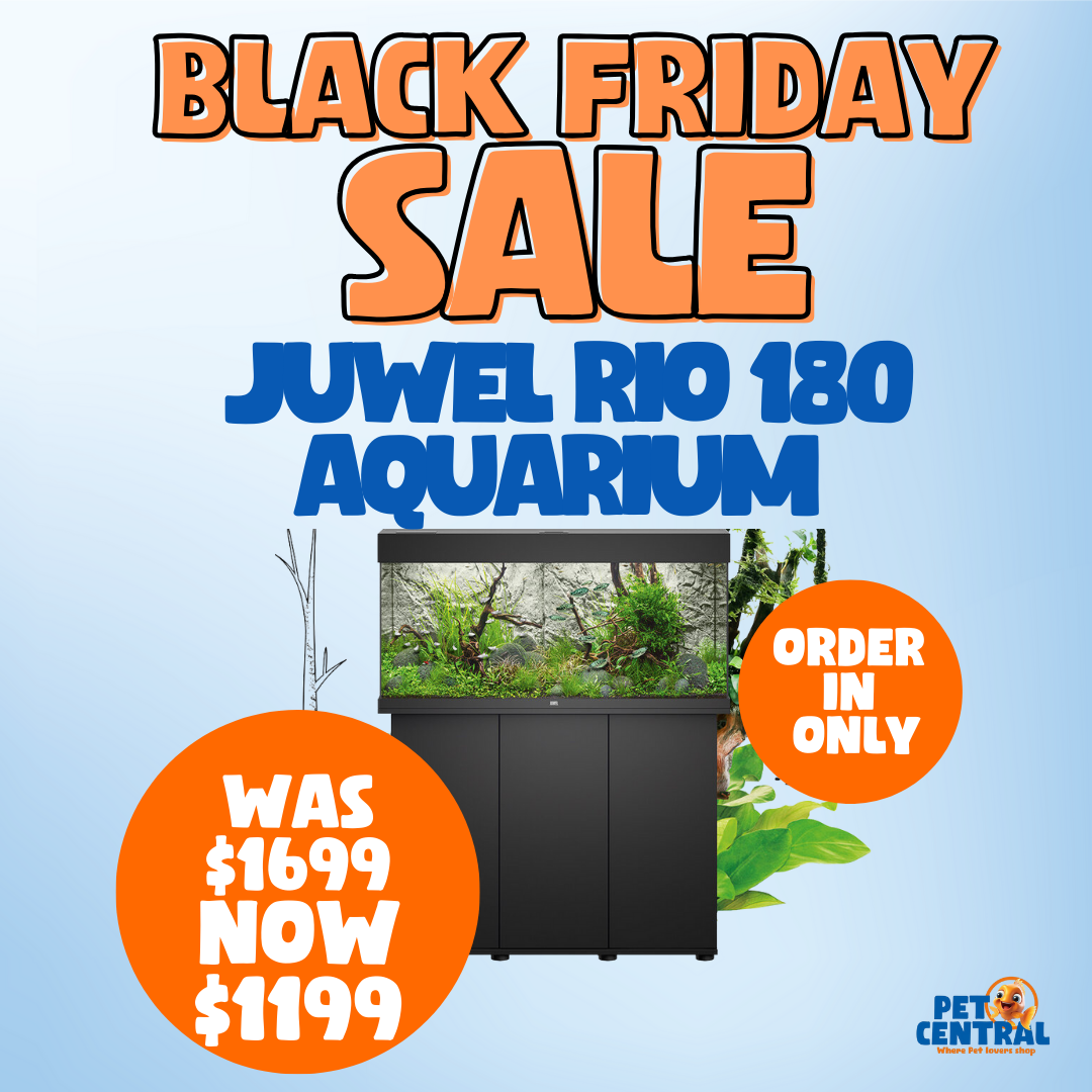 Juwel Rio 180 LED Aquarium COMB) - order in only