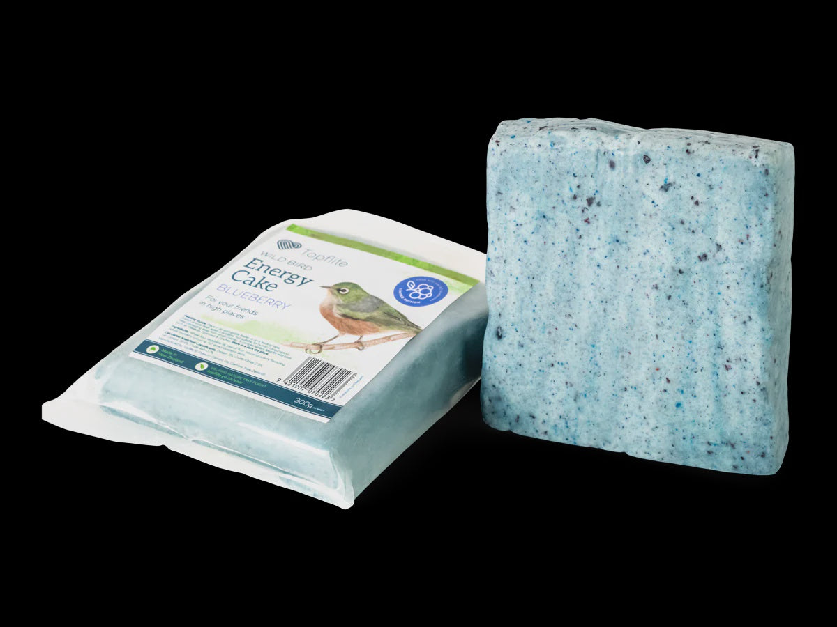 Topflite Wild Bird Cake - Blueberry