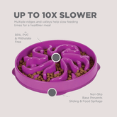 Fun Feeder Slo-Bowl – Flower