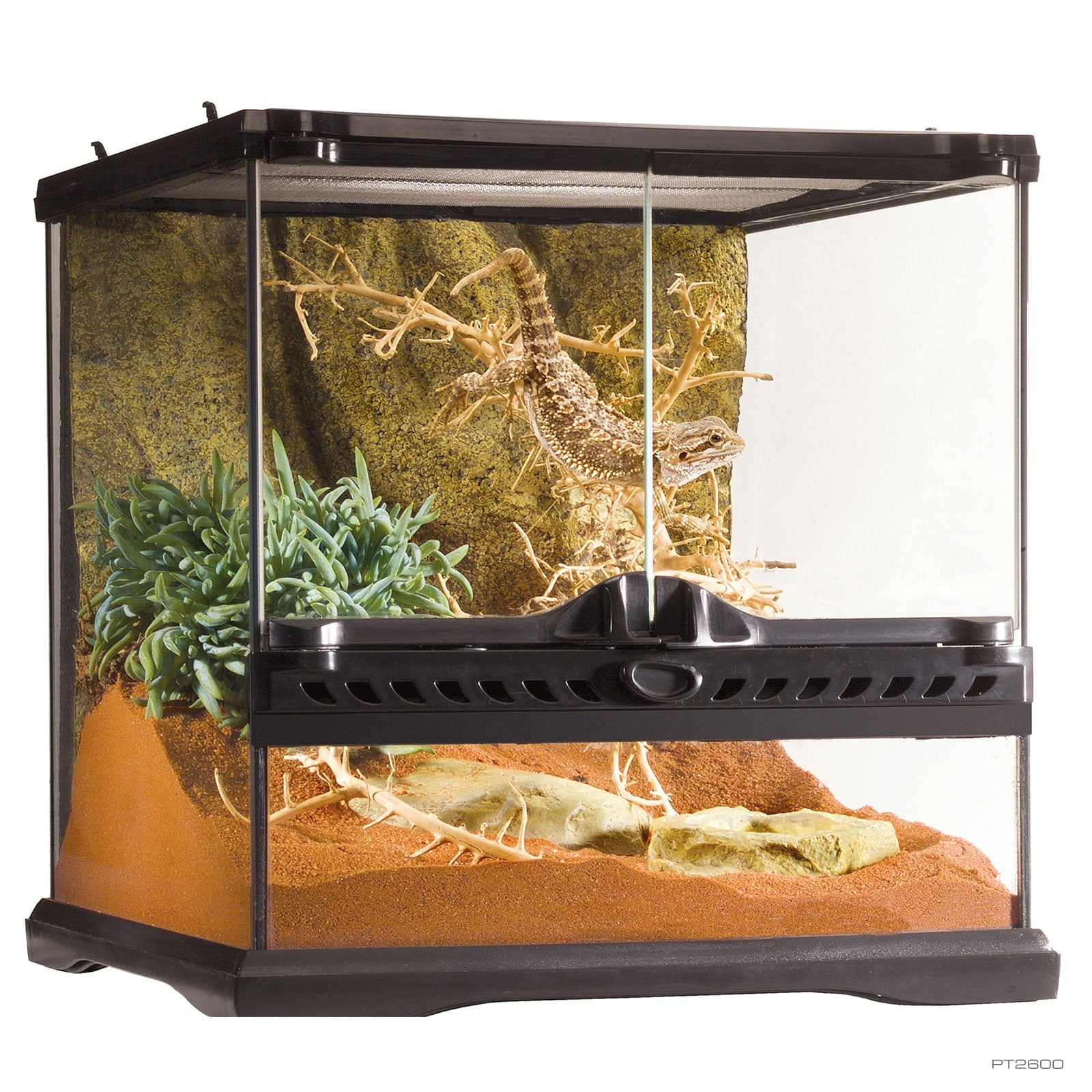 Exo Terra Glass Terrarium