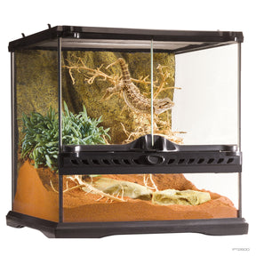 Exo Terra Glass Terrarium