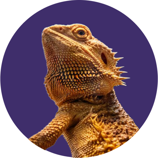 Pet Central 100 NZ Owned