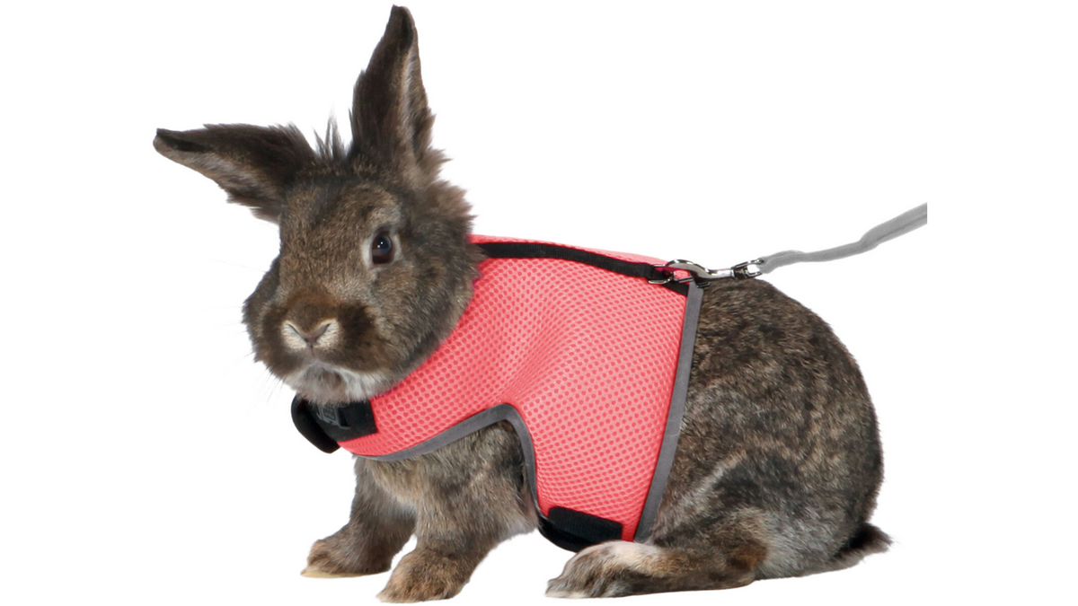 Trixie Soft Harness Rabbit Large