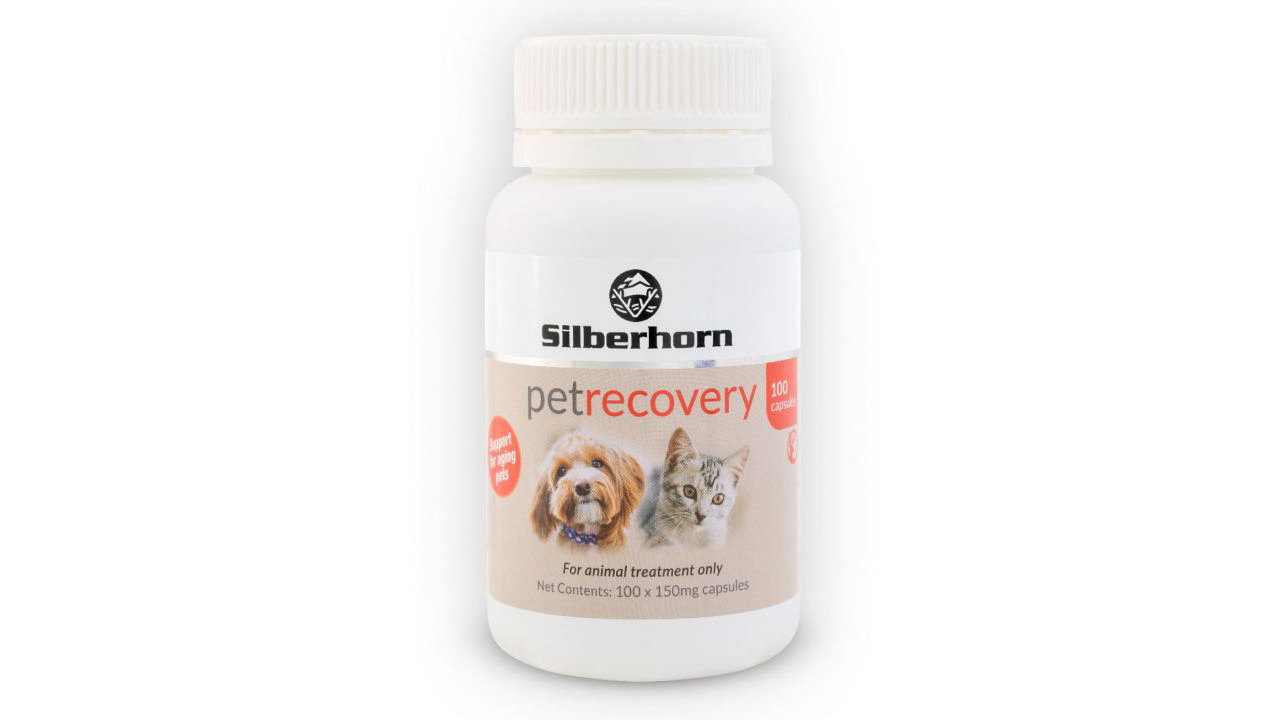 Pet Recovery Glucosamine Capsules