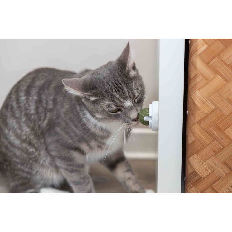 Catnip Ball with Adhesive Holder