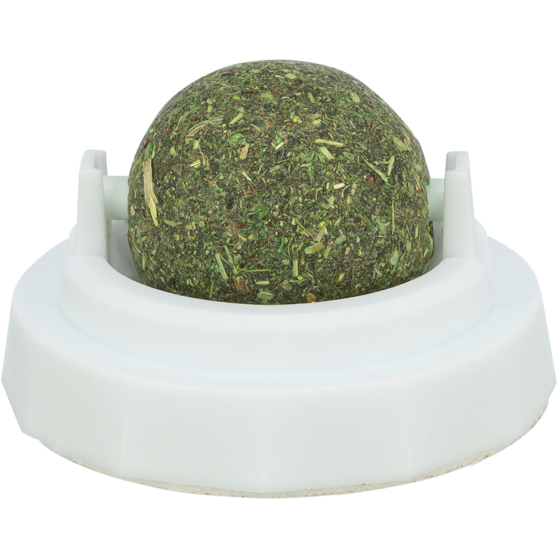 Catnip Ball with Adhesive Holder