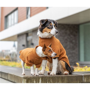 Amsterdam Sweatshirt - Rust