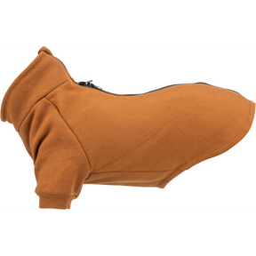 Amsterdam Sweatshirt - Rust