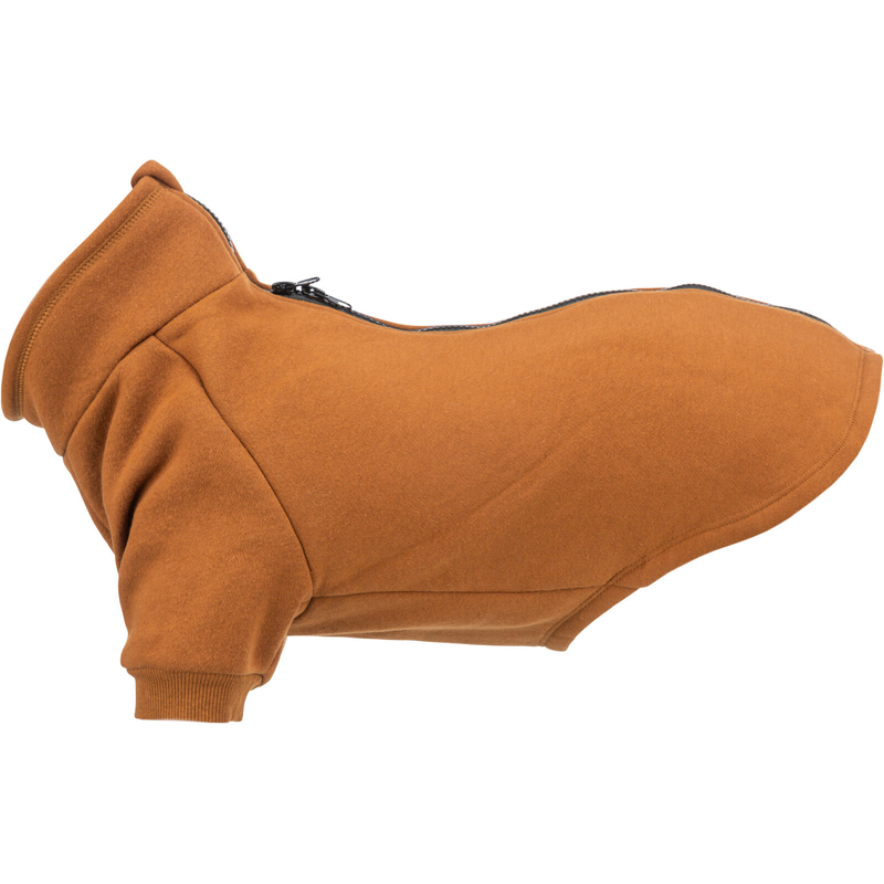 Amsterdam Sweatshirt - Rust