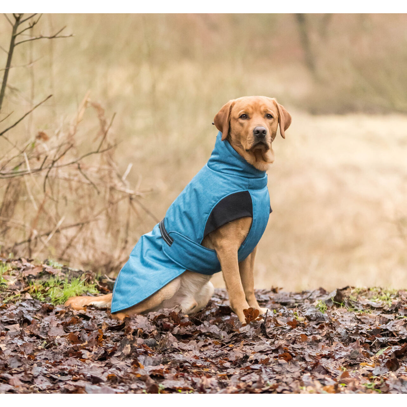 Riom Winter Coat -  Blue