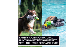 Hyper Pet Flying Duck