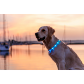 LED Light Band Up to 65cm - Multicolour XS-XL cut to fit
