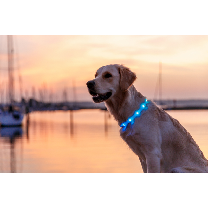 LED Light Band Up to 65cm - Multicolour XS-XL cut to fit