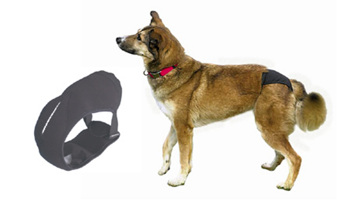 Trixie Replacement Pads for Dog Pants L-XL 10pk