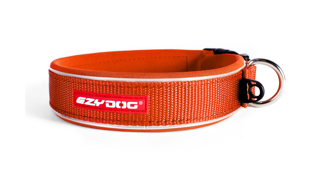 Ezy Dog Collar Neo Classic