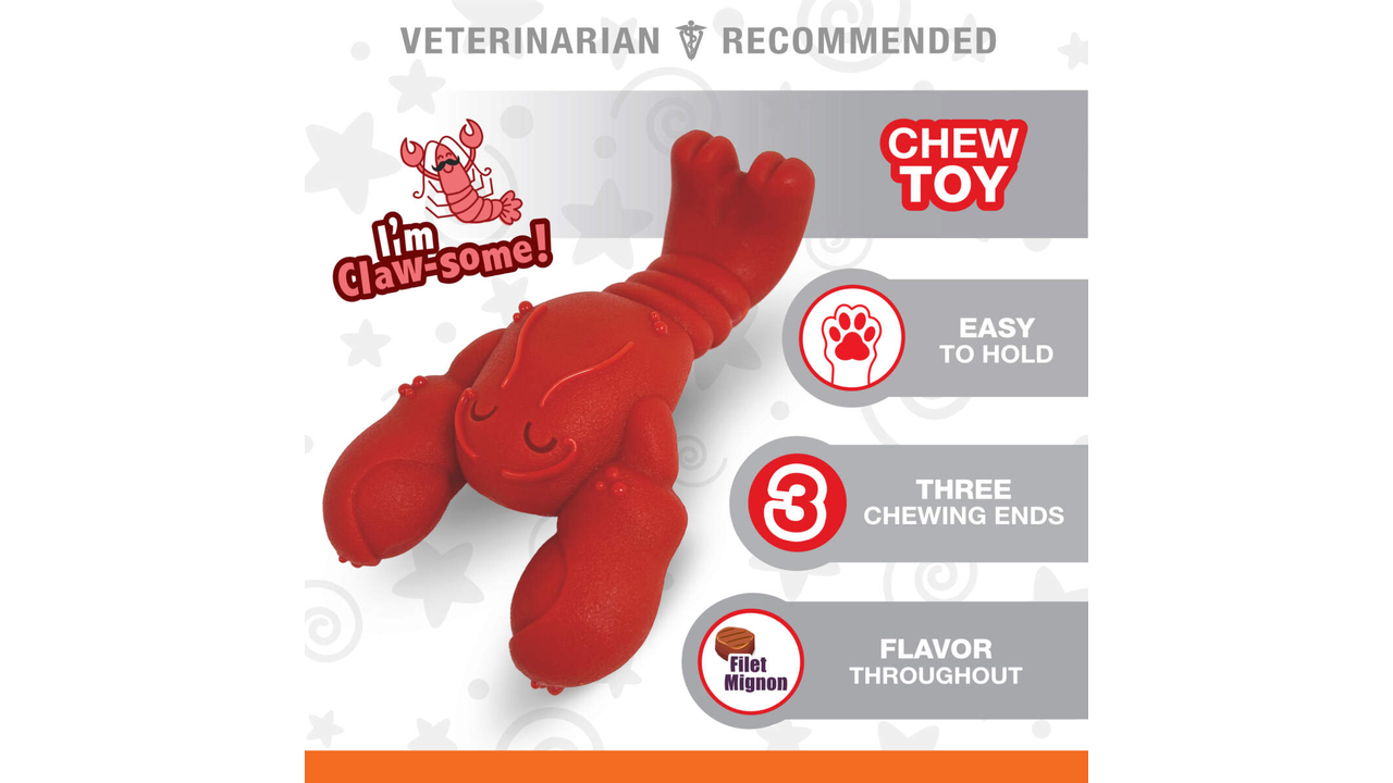 Nylabone Power Chew Lobster