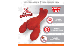 Nylabone Power Chew Lobster