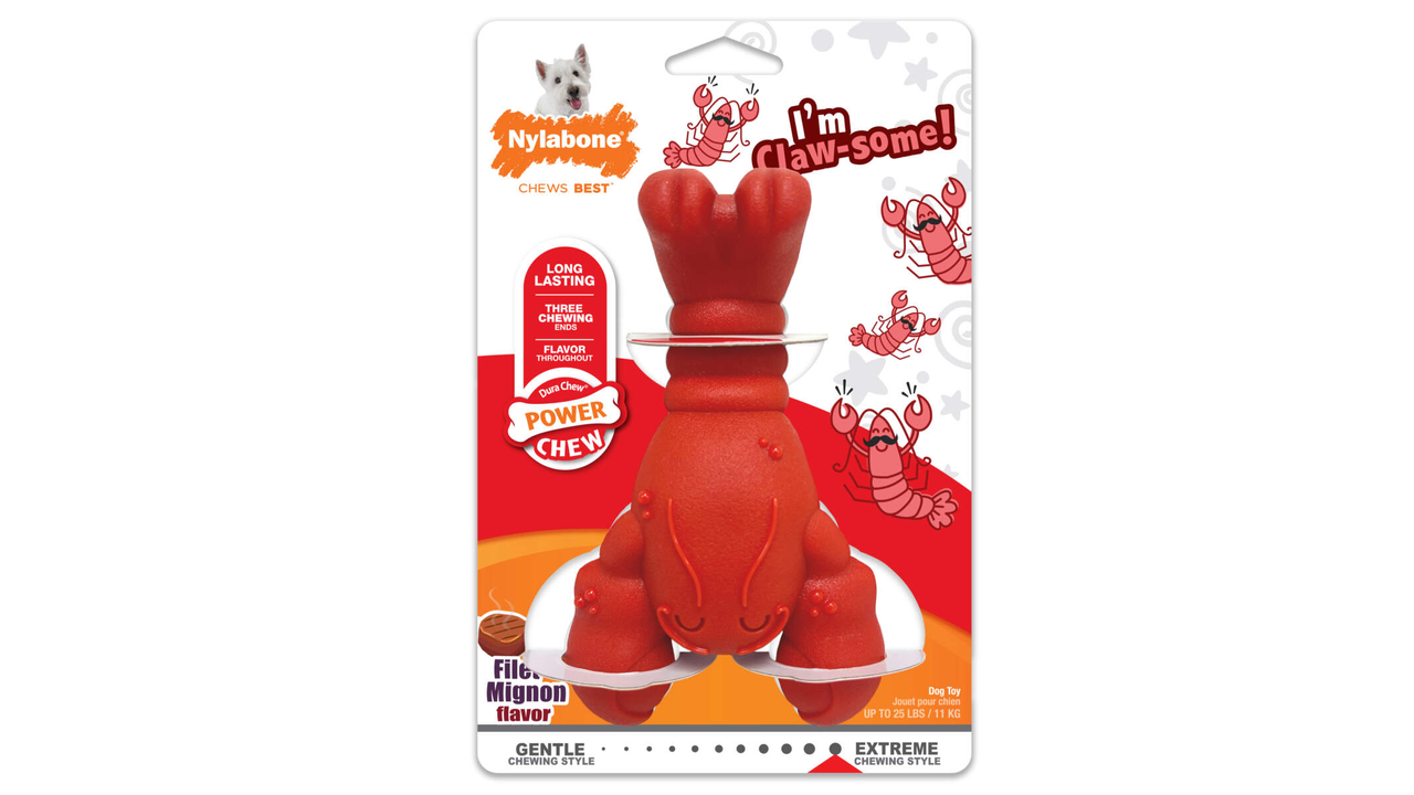 Nylabone Power Chew Lobster