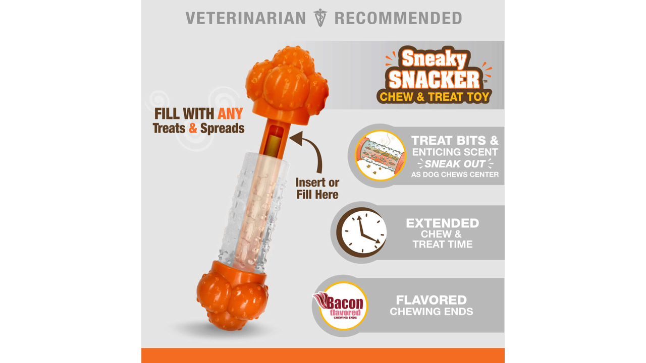 Nylabone Strong Chew Sneaky Snacker Chew & Treat Toy - Giant