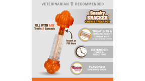 Nylabone Strong Chew Sneaky Snacker Chew & Treat Toy - Giant