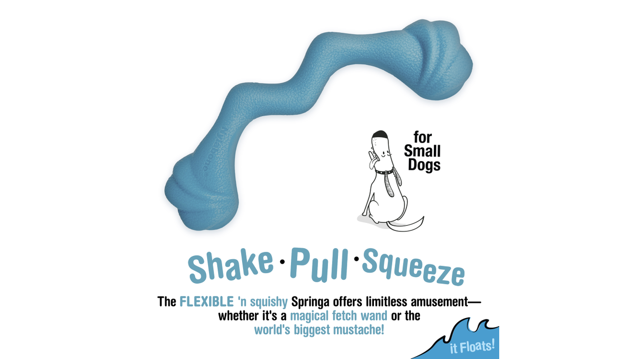 Nylabone Creative Play Springa Small Blue