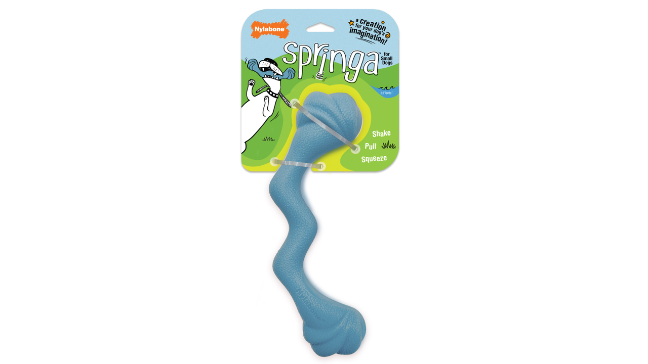 Nylabone Creative Play Springa Small Blue