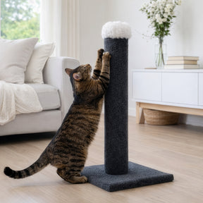Tigga Carpet Cat Pole Medium 75cm