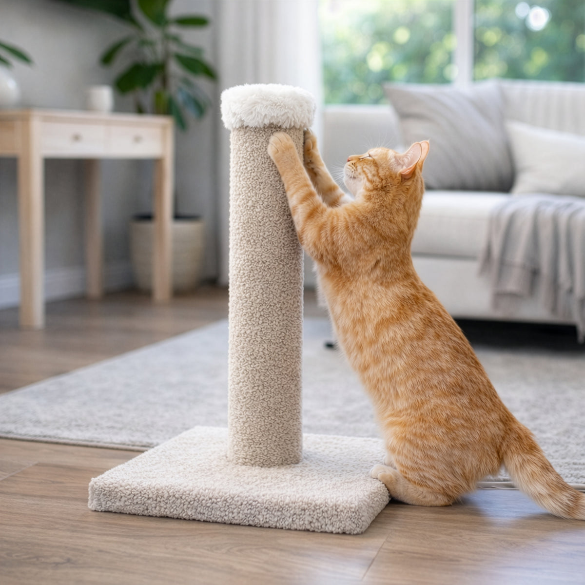 Tigga Carpet Cat Pole Small 50cm