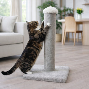 Tigga Carpet Cat Pole Small 50cm