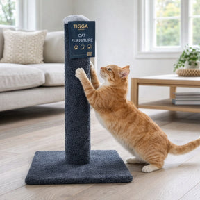 Tigga Carpet Cat Pole Small 50cm