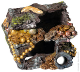 Treasure Chest with Coins and Eel