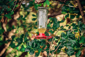 Topflite Wild Bird Nectar Feeder