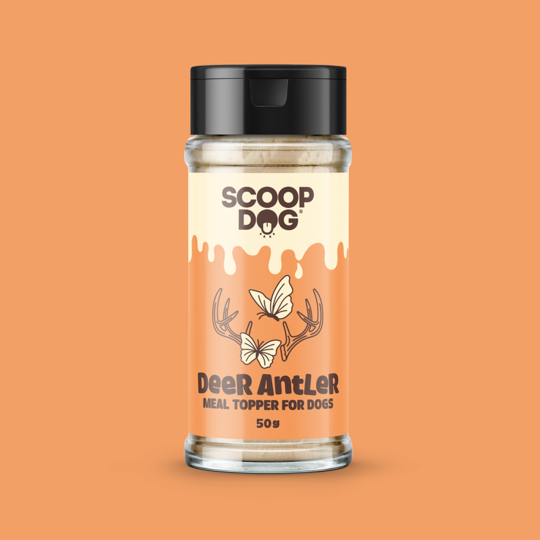 Scoop Dog Deer Antler Topper