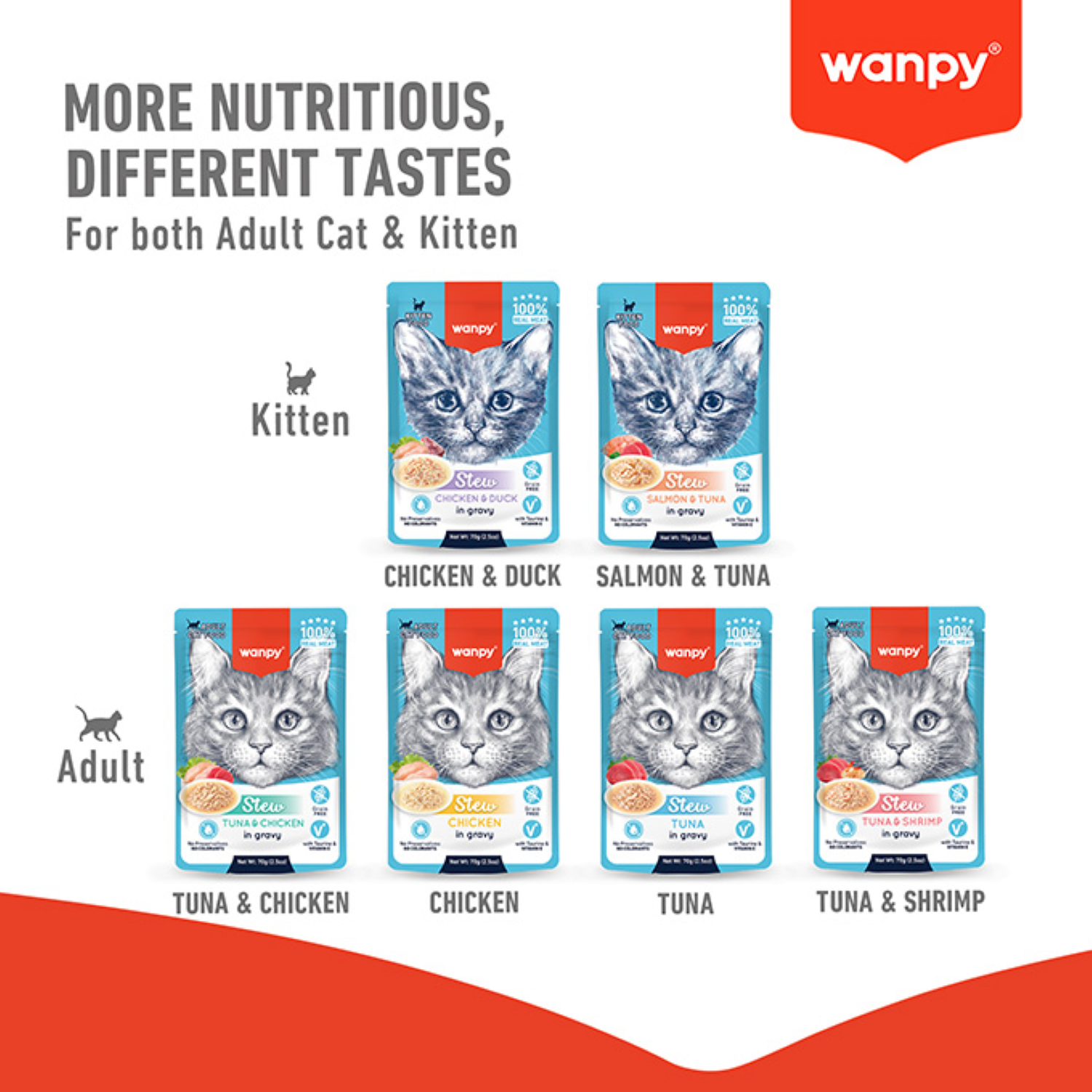 Wanpy Cat Pouch 70g Tuna and Shrimp Stew