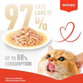 Wanpy Kitten Pouch 70g Salmon and Tuna Stew