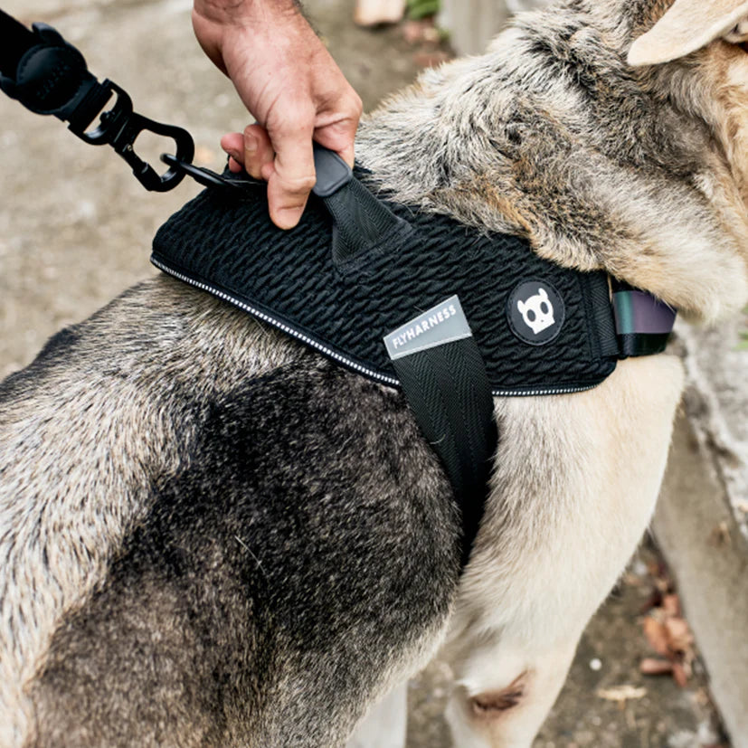 Fly Harness - Zee Dog Gotham
