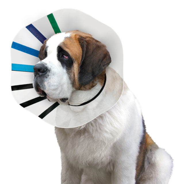 KONG E Collar EZ Clear
