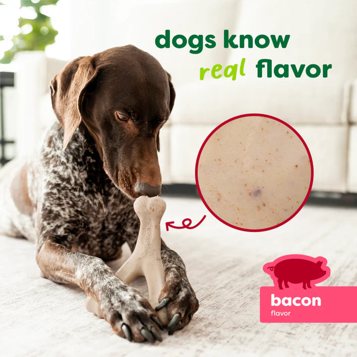 Benebone Wishbone Green Bacon